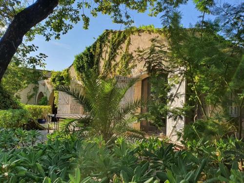 Bed & Breakfast Le Mas De Mougins