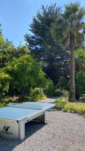 Hostal Carpe Diem Paradise