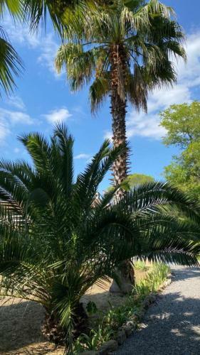 Hostal Carpe Diem Paradise