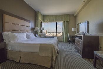 Hotel Holiday Inn Pearl - Jackson Area
