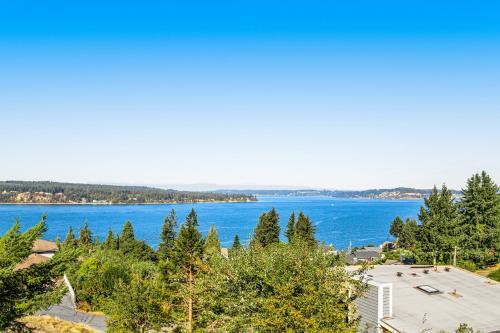 The Lookout At Chambers Bay