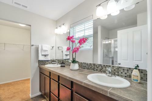 Terra House Tacoma