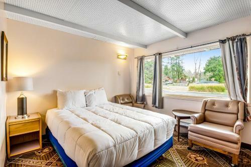 Pacific Motel II