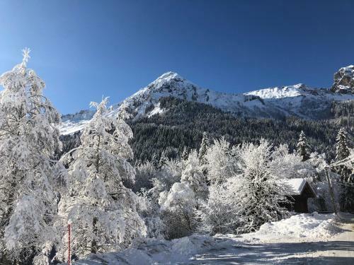 Chalet Les Eves