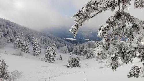 Apartamento Au Chalet De Jo
