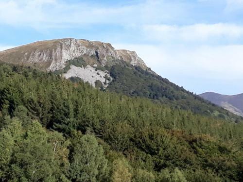 Bed & Breakfast Les Roses Des Bois
