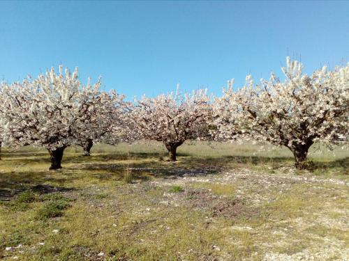 La Bergerie De Remourase