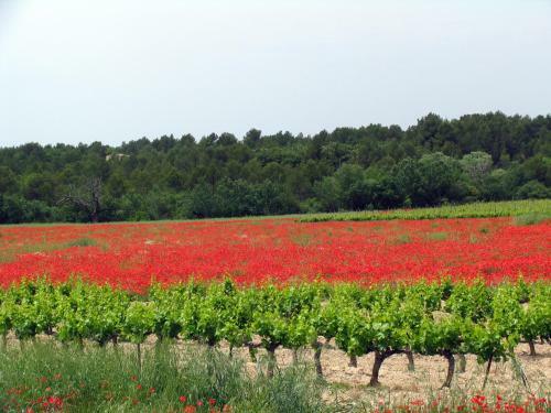 La Bergerie De Remourase