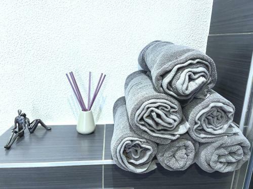 Apartamento Ecrin Design Et Luxueux Bien Situ� � Mulhouse