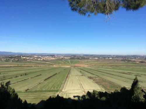 Neffies Languedoc Frankrig