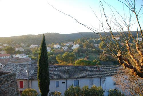 Neffies Languedoc Frankrig