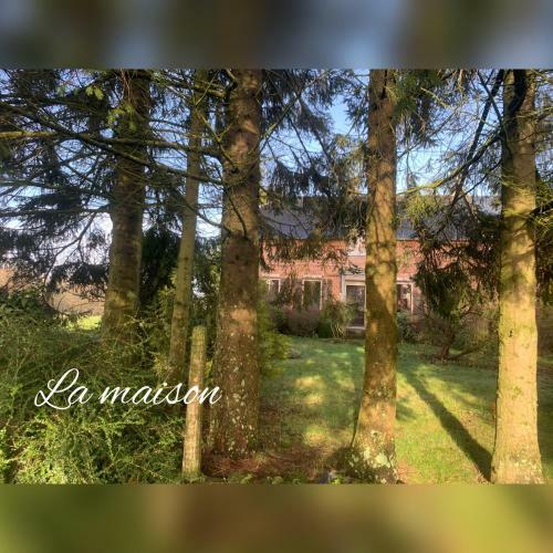 Bed & Breakfast Aux Fines Bulles
