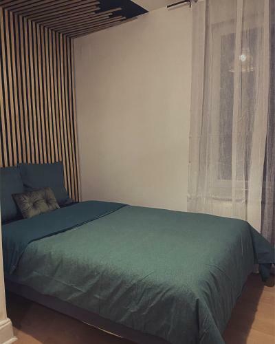 Apartamento Superbe Duplex En Plein C?ur De Nancy