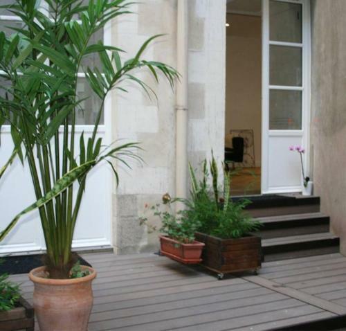 Apartamento Charmant 2 Chambres, Hyper-centre Avec Joli Patio