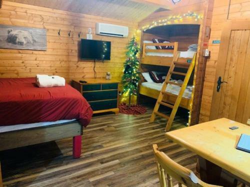 Honeybear Hideaway Cabin