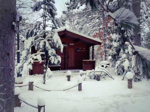 Honeybear Hideaway Cabin