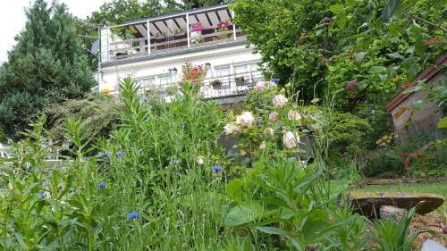 Bed & Breakfast Les Iris Chambres D?h�te
