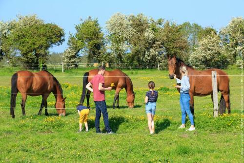 Bed & Breakfast La Tour De Nielles