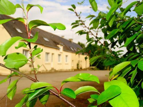 Bed & Breakfast Chambres D'h�tes " Moulin Du Couedic "