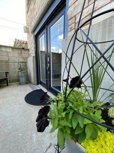 Apartamento Beautiful Historic Private Basement Suite Downtown