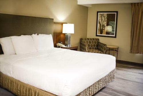 Hotel Par 5 Resort