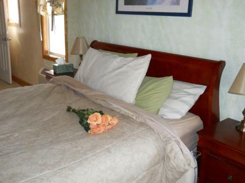 Grandma's Cottage Bed And Breakfast