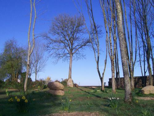 Bed & Breakfast Les Rhodos