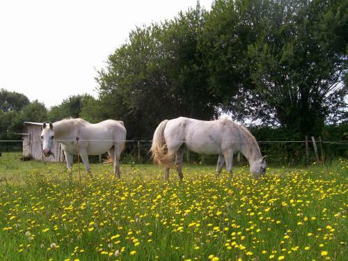 Bed & Breakfast Les Rhodos