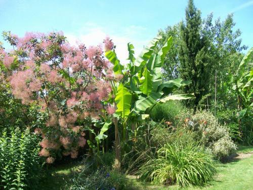 Bed & Breakfast Les Rhodos