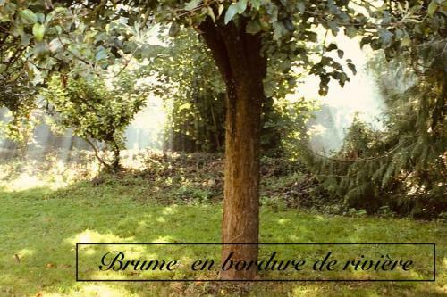 Normandia Du Lieu Foison