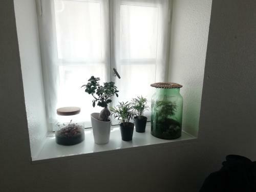Apartamento Le 39