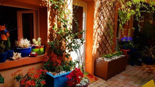 Apartamento Petit Patio En Centre Ville