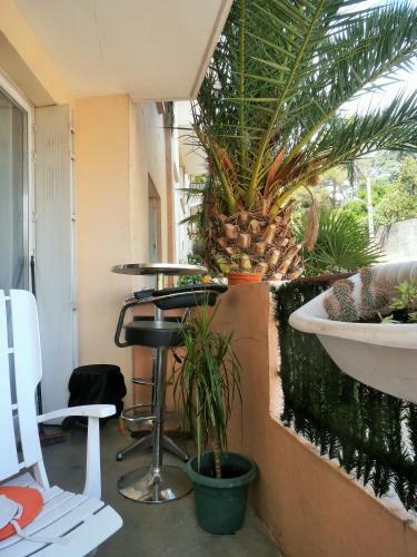 Apartamento Cosy N�mes