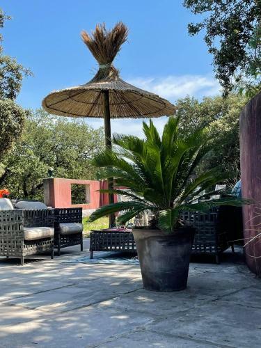 Jolie Annexe Du Mas Dans Le C?ur de La Garrigue N�moise