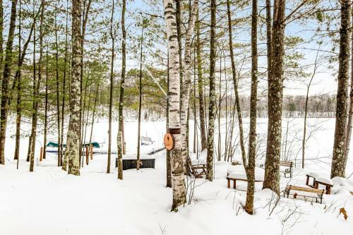Looney Bin Cabin