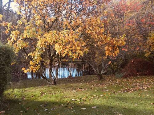 Demeure Normande Authentique En Bord De Rivi�re