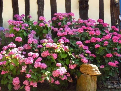 Bed & Breakfast Le Chant Des Fees