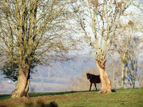 Bed & Breakfast Le Chant Des Fees