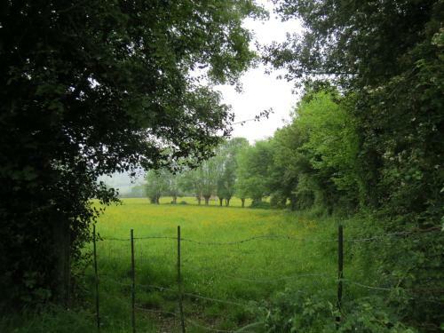 Bed & Breakfast Le Chant Des Fees