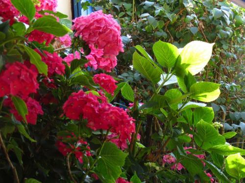 Bed & Breakfast Le Chant Des Fees
