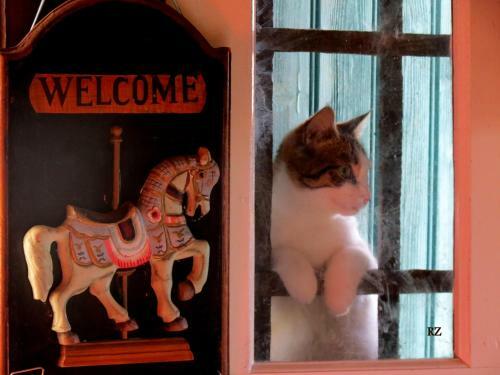Bed & Breakfast Le Chant Des Fees