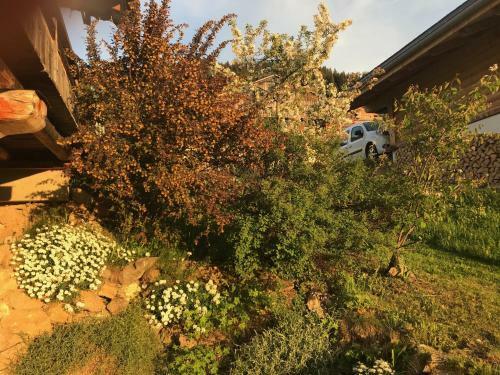 Aparthotel La Ferme Des Georgi�res