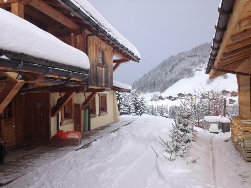 Aparthotel La Ferme Des Georgi�res