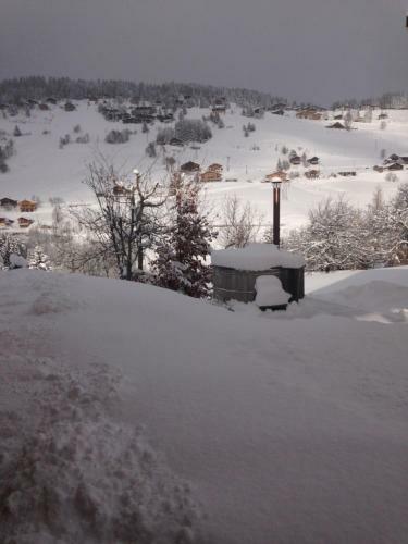Aparthotel La Ferme Des Georgi�res