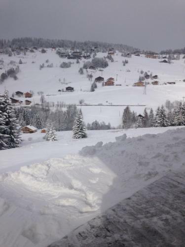 Aparthotel La Ferme Des Georgi�res
