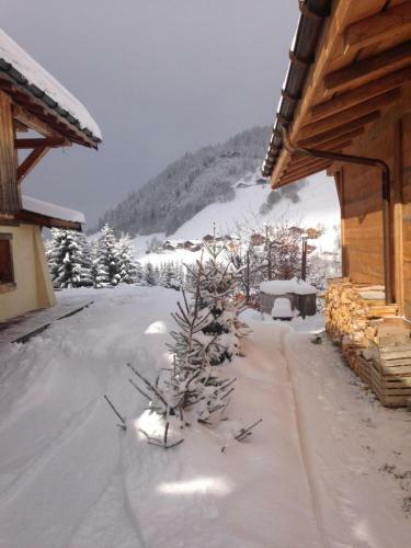 Aparthotel La Ferme Des Georgi�res