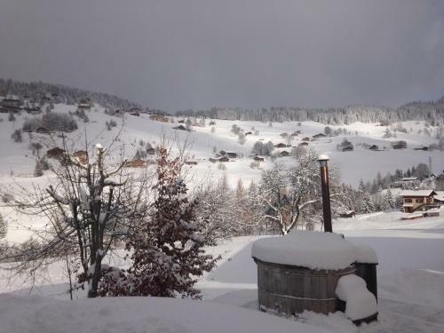 Aparthotel La Ferme Des Georgi�res