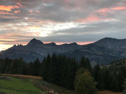 Aparthotel La Ferme Des Georgi�res
