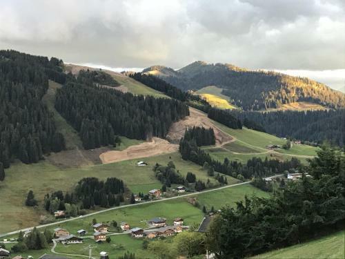 Aparthotel La Ferme Des Georgi�res