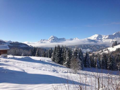 Aparthotel La Ferme Des Georgi�res